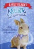 Lucy Longwhiskers: Book 1 Magic Animal Friends Early Reader