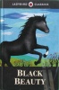Ladybird Classics:Black Beauty