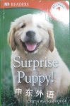 DK Readers Level 1：Surprise Puppy! Judith Walker-Hodge
