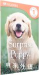 DK Readers Level 1：Surprise Puppy!