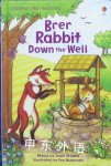 Brer Rabbit Down the Well (Usborne First Reading) Louie Stowell
