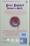Brer Rabbit Down the Well (Usborne First Reading)