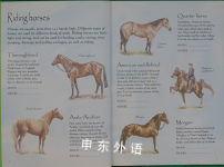 Spotter's Sticker Guides: Horses and Ponies