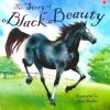 The Story of Black Beauty (Picture Books)