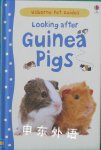 Looking After Guinea Pigs Laura Howell