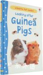 Looking After Guinea Pigs