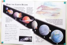 Dinosaurs and Other Prehistoric Life