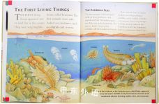 Dinosaurs and Other Prehistoric Life