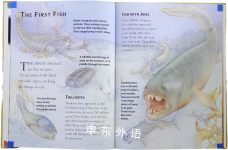 Dinosaurs and Other Prehistoric Life