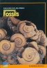 Discover Fossils