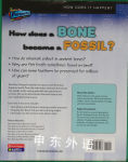 How Does a Bone Become a Fossil? (How Does It Happen)