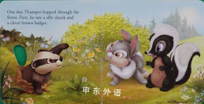 Thumpers Furry Friends