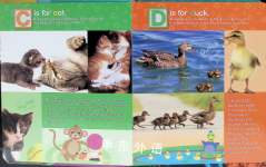 Baby Animals