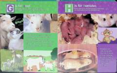 Baby Animals