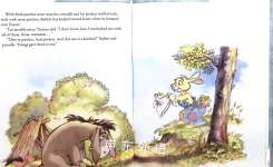 Winnie the Pooh Somebodys Treasure