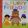 Furry Friends (Touch-and-feel Book, A)