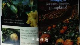Seed Sprout Pumpkin Pie
