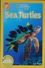 National Geographic Readers: Sea Turtles