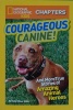 National Geographic Kids Chapters: Courageous Canine: And More True Stories of Amazing Animal Heroes