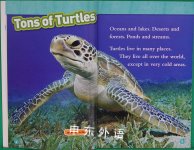 National Geographic Readers: Turtles