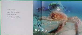 Crabs [Scholastic] Under the Sea
