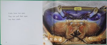 Crabs [Scholastic] Under the Sea