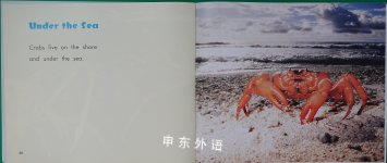 Crabs [Scholastic] Under the Sea
