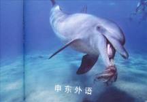 Dolphins [Scholastic] (Under the Sea)