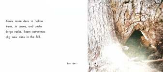 Bears and Their Dens