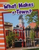 What Makes a Town? (Grade 1)