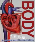 Body, an Amazing Tour of Human Anatomy Sandy Creek