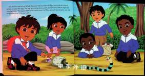 Diegos International Rescue League