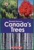 Canada Close Up: Canada's Trees