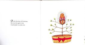 A Porcupine in a Pine Tree