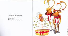 A Porcupine in a Pine Tree