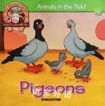 Pigeons DeAGOSTINI