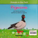 Pigeons