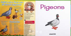 Pigeons