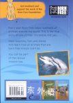 The True Story of Tom and Misha Dolphin Rescue