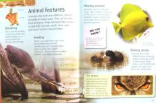 The Children's Encyclopedia of Animals Begin to discover the amazing world of animals