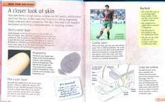 Encyclopedia of the HUMAN BODY