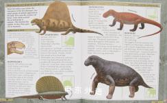 Children's Reference - Encyclopedia of Dinosaurs