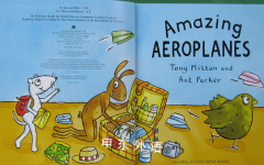 Amazing Aeroplanes (Amazing Machines)