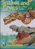 Snakes and Crocs and Other Reptiles