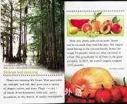 Strange and Amazing Plants