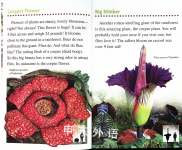 Strange and Amazing Plants