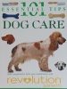 Dog Care 101 Essential Tips