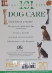 Dog Care 101 Essential Tips