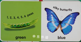 Baby Touch and Feel: Colors