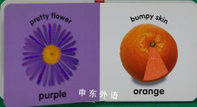 Baby Touch and Feel: Colors